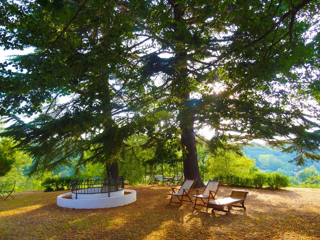 Bed and Breakfast La Celestina Piana Crixia Екстер'єр фото